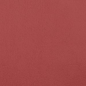 Viking Gold Cap basic zwart/rood 40-42